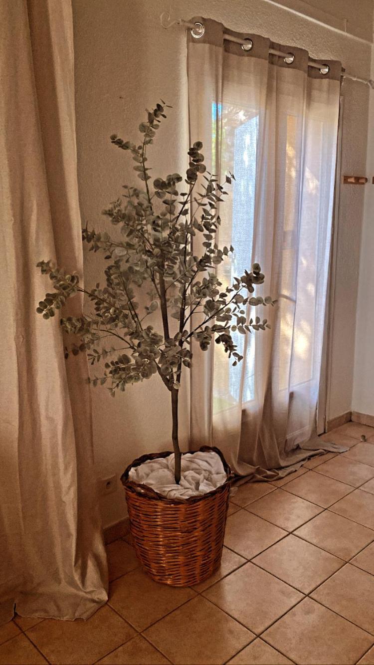 Le Mas Du Bosc Apartment Mauguio Bagian luar foto