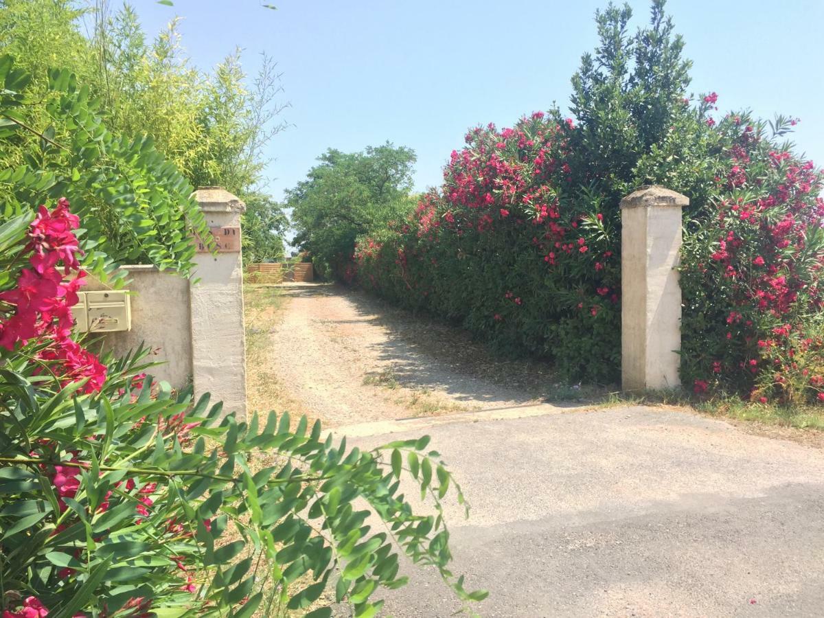 Le Mas Du Bosc Apartment Mauguio Bagian luar foto